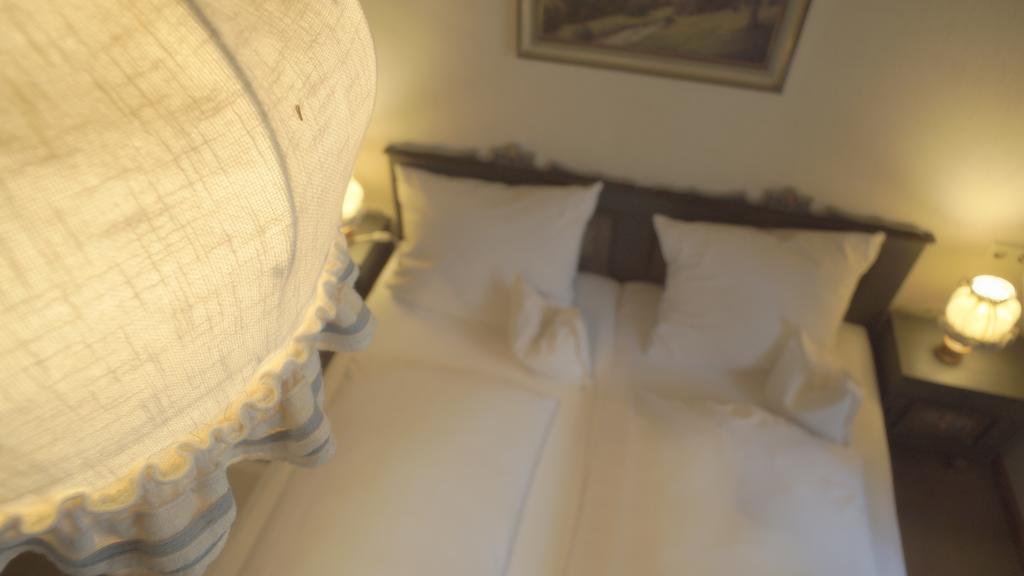 Faehrhaus Hotel Waldshut-Tiengen Ngoại thất bức ảnh